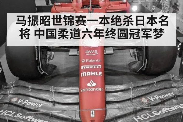 马振昭世锦赛一本绝杀日本名将 中国柔道六年终圆冠军梦